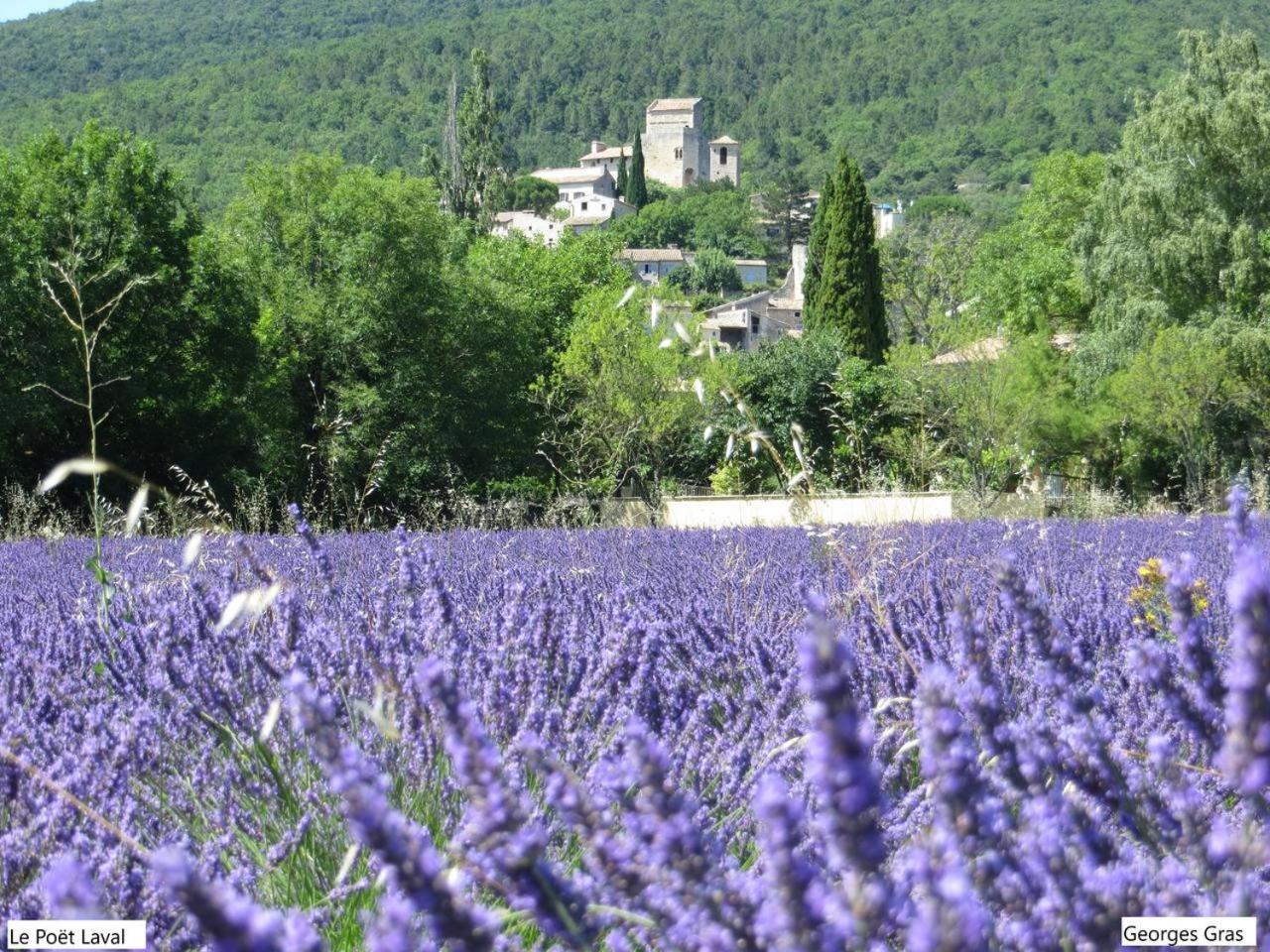 Le Mas Des Restanques Au Poet Laval Villa Le Poët-Laval Exterior foto